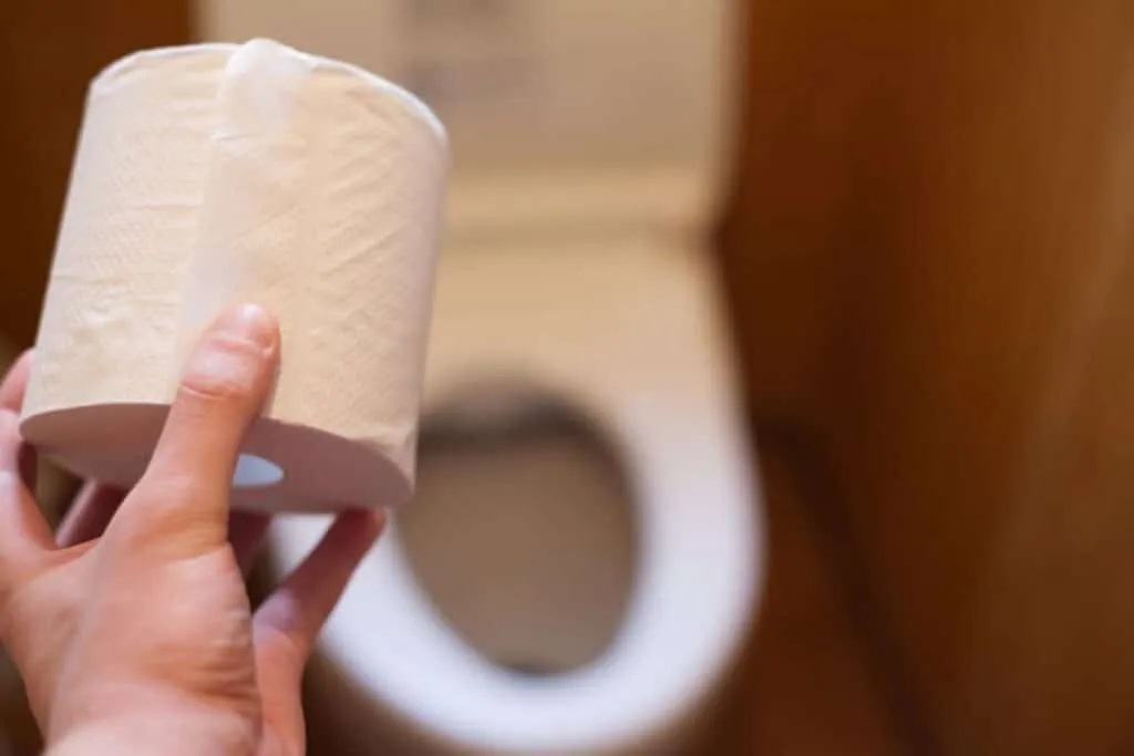 Banyo Devrimi: Tuvalet Kağıdı Yolda mı?