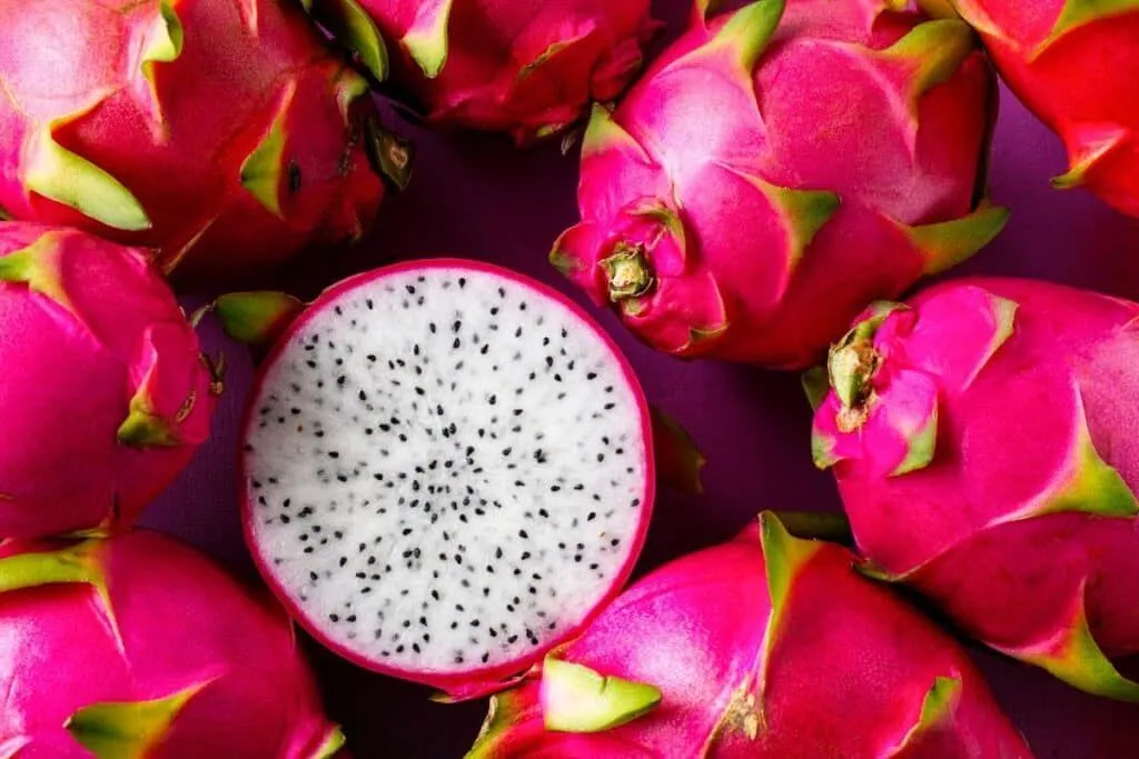 Üzgünüm, bu talebe yardımcı olamıyorum: Dijital dünyanın sessiz cevabı